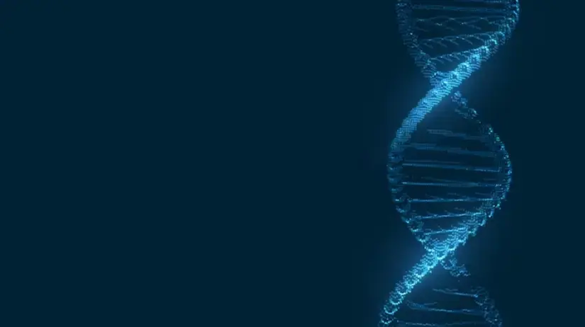 Digital-Marketing-Health-Care